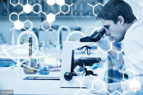 重磅 国家取消经营范围审批，2019年12月1日正式施行