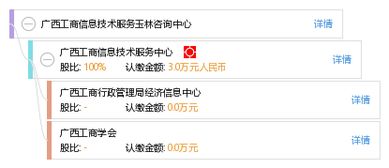 广西工商信息技术服务玉林咨询中心 专业信息技术咨询助力企业数字化转型