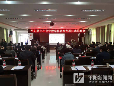 我县向中小企业推介数字化转型发展技术及信息技术咨询服务