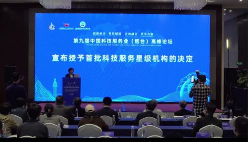 全国首批科技服务星级机构揭晓 信息技术咨询服务引领行业新标杆