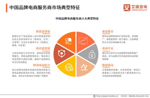2023年中国品牌电商服务商行业深度解析 信息技术咨询服务引领增长新引擎